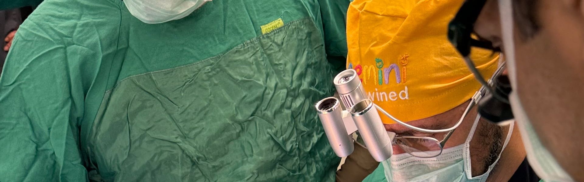 Gemini Untwined in Action